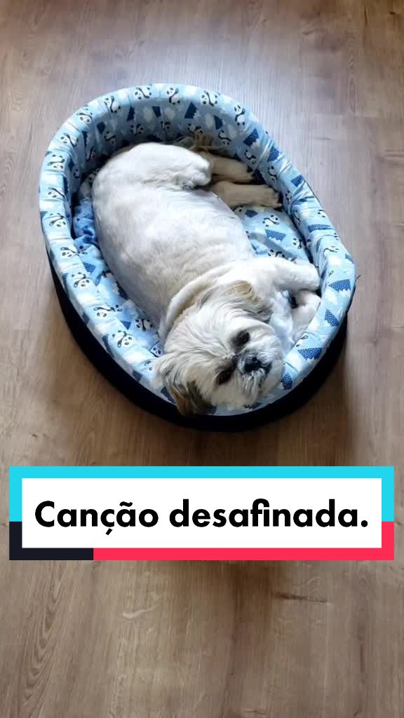 @Mel Spacemoon 🐶🐾