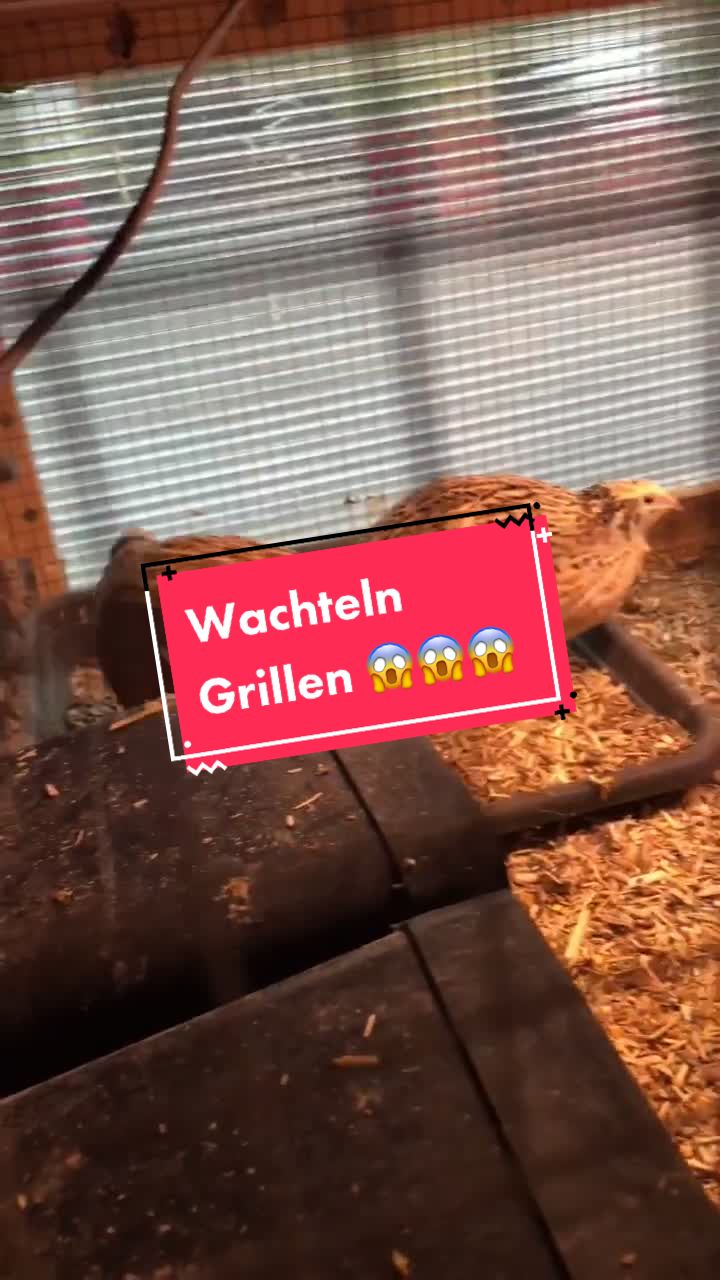 @Jan