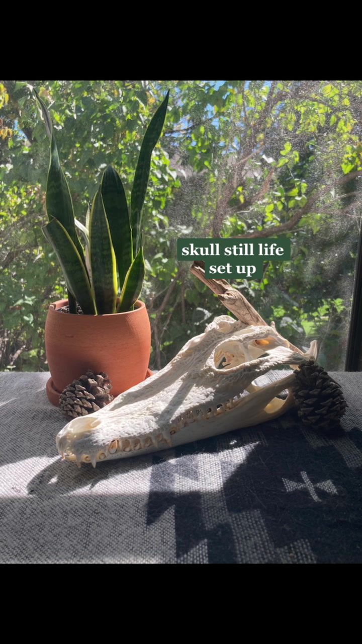 @Susie🌻
