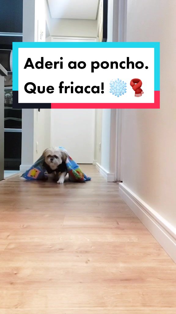 @Mel Spacemoon 🐶🐾