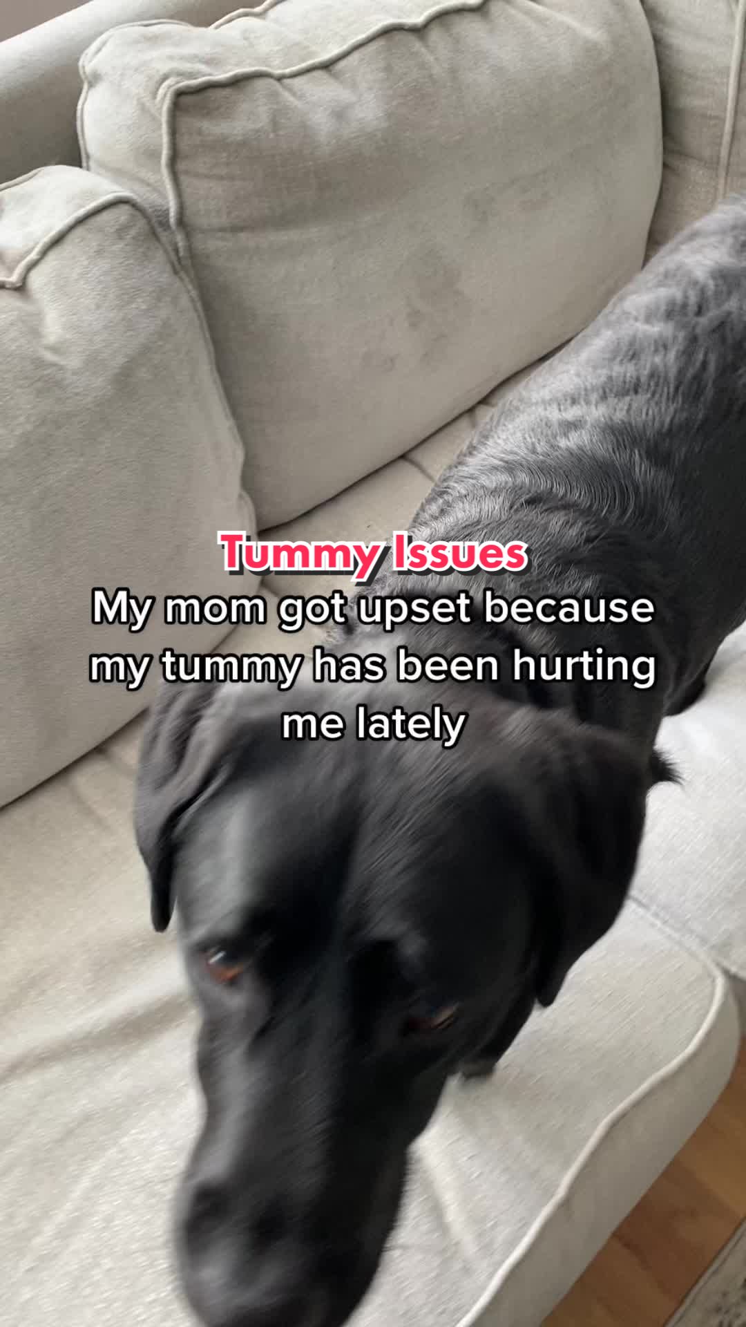 @Jimmy And Clarence