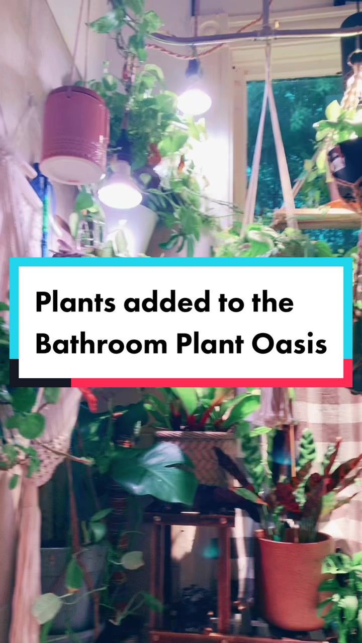 @Island_Plant_Mama