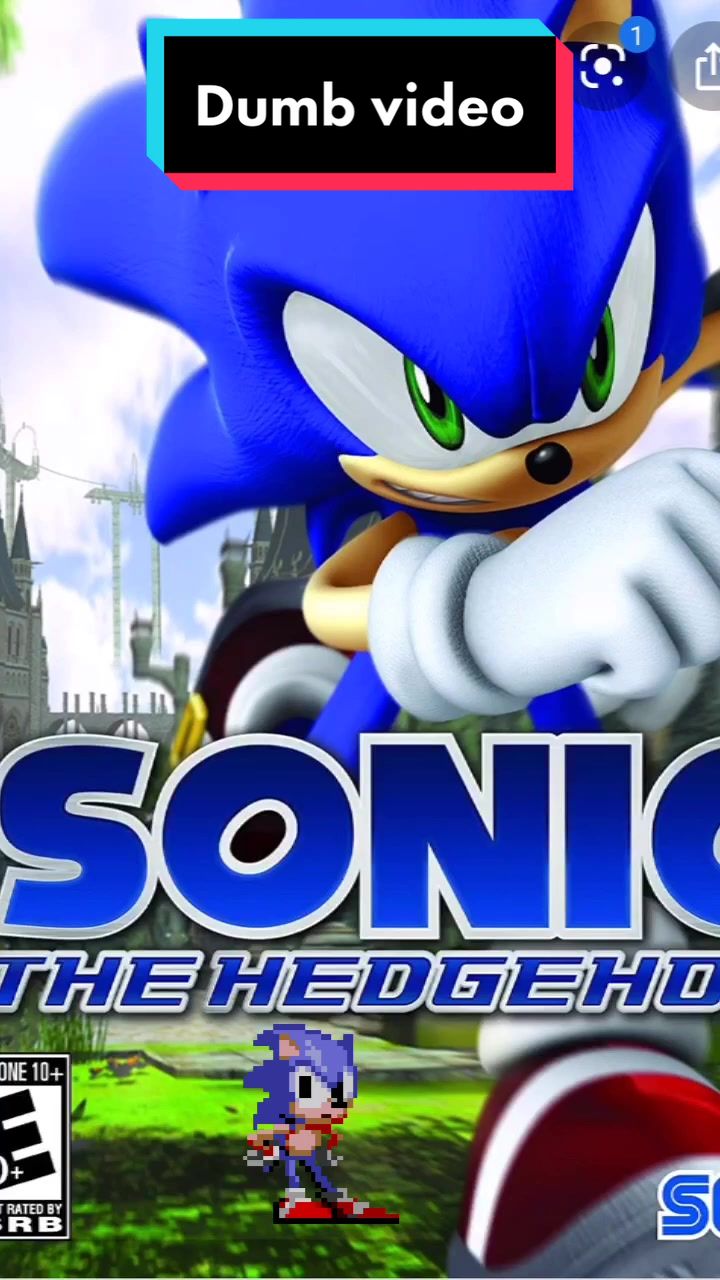 @Sonic the hedgehog