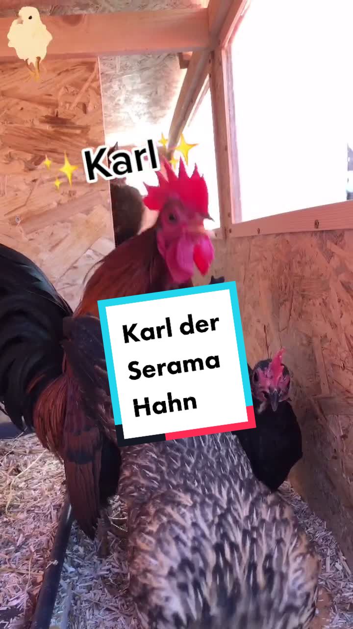 @Jan