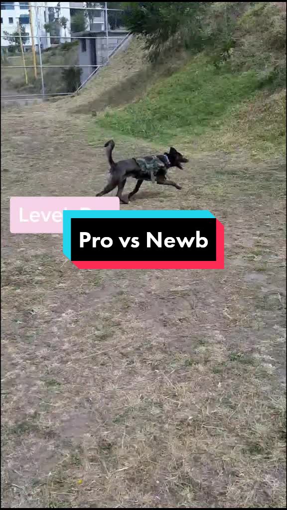 @Nala_and_Raya