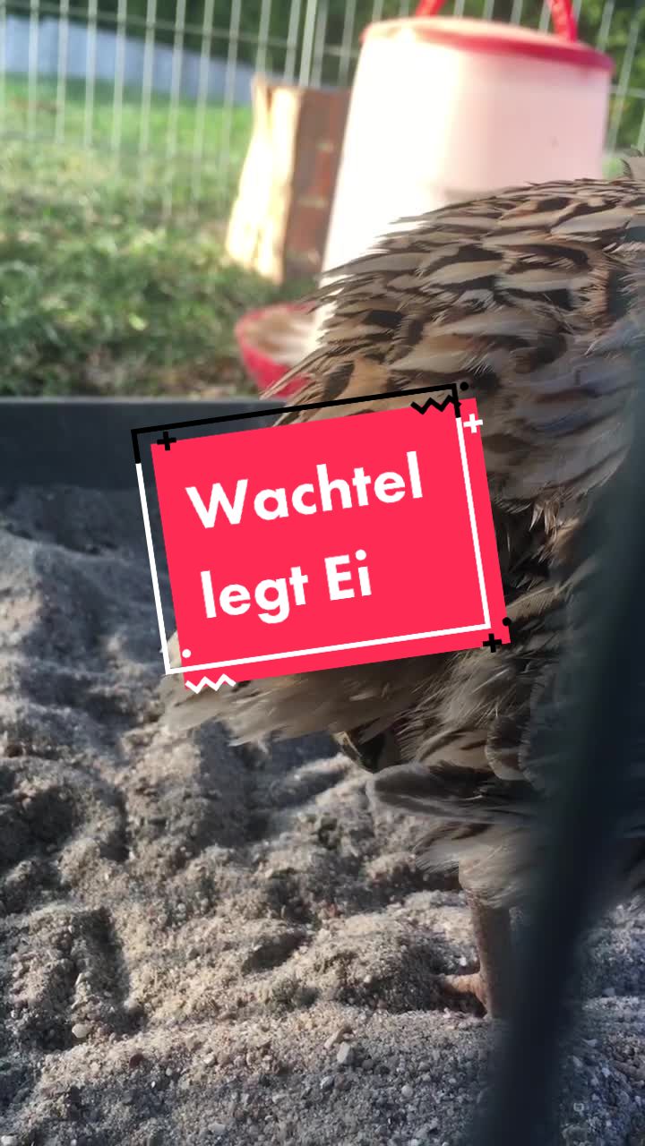 @Jan