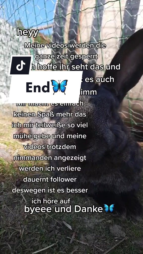 @Bitte KEIN likespam!!!💖