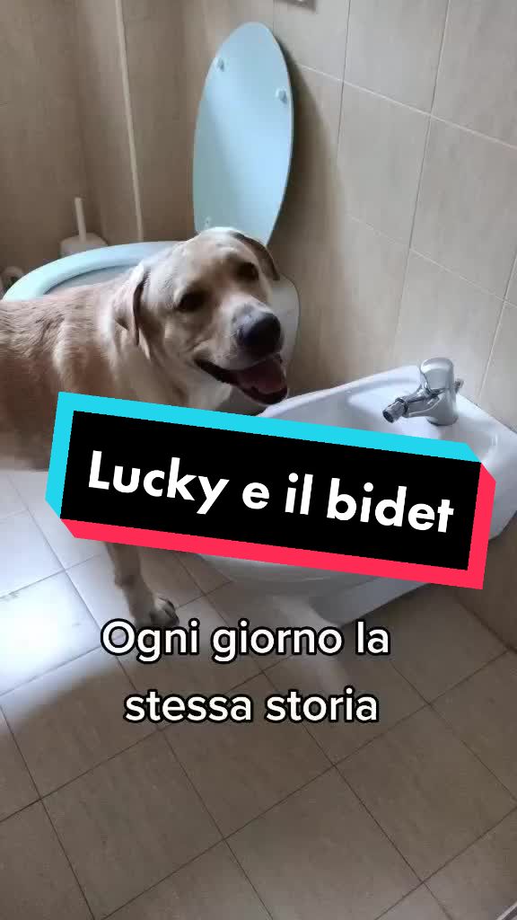@il mio amico Lucky