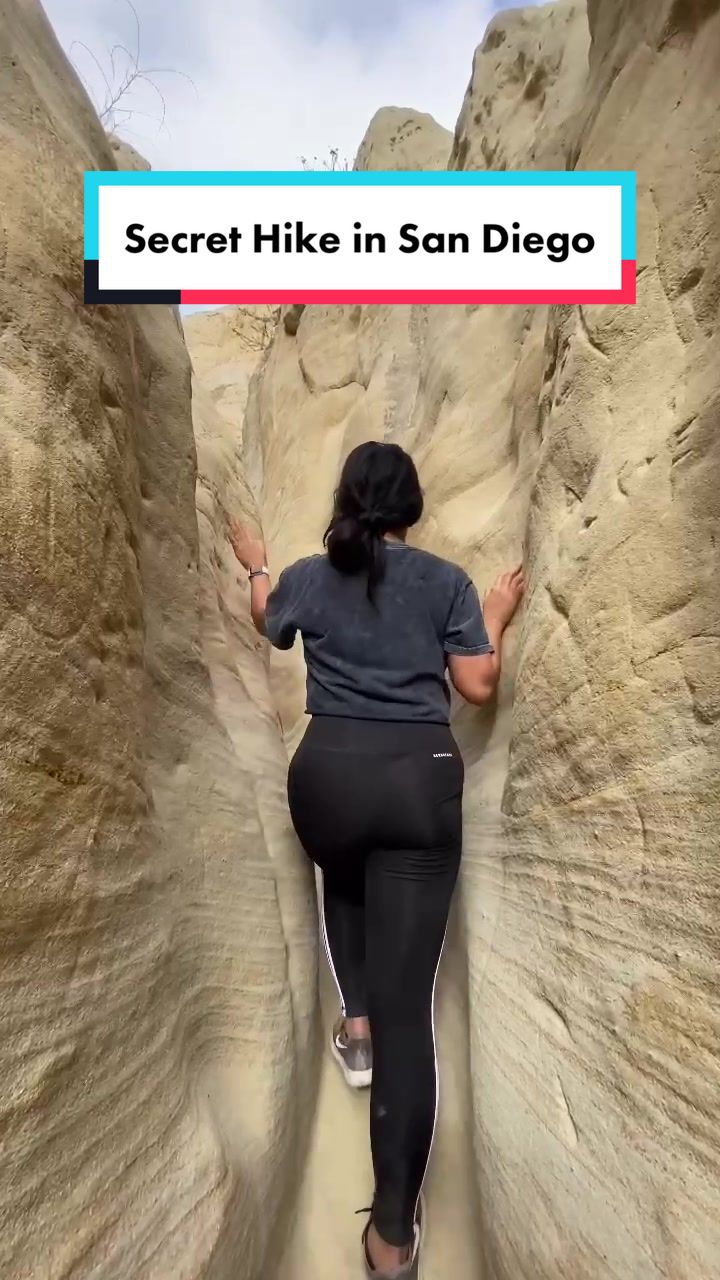 @roseaannn