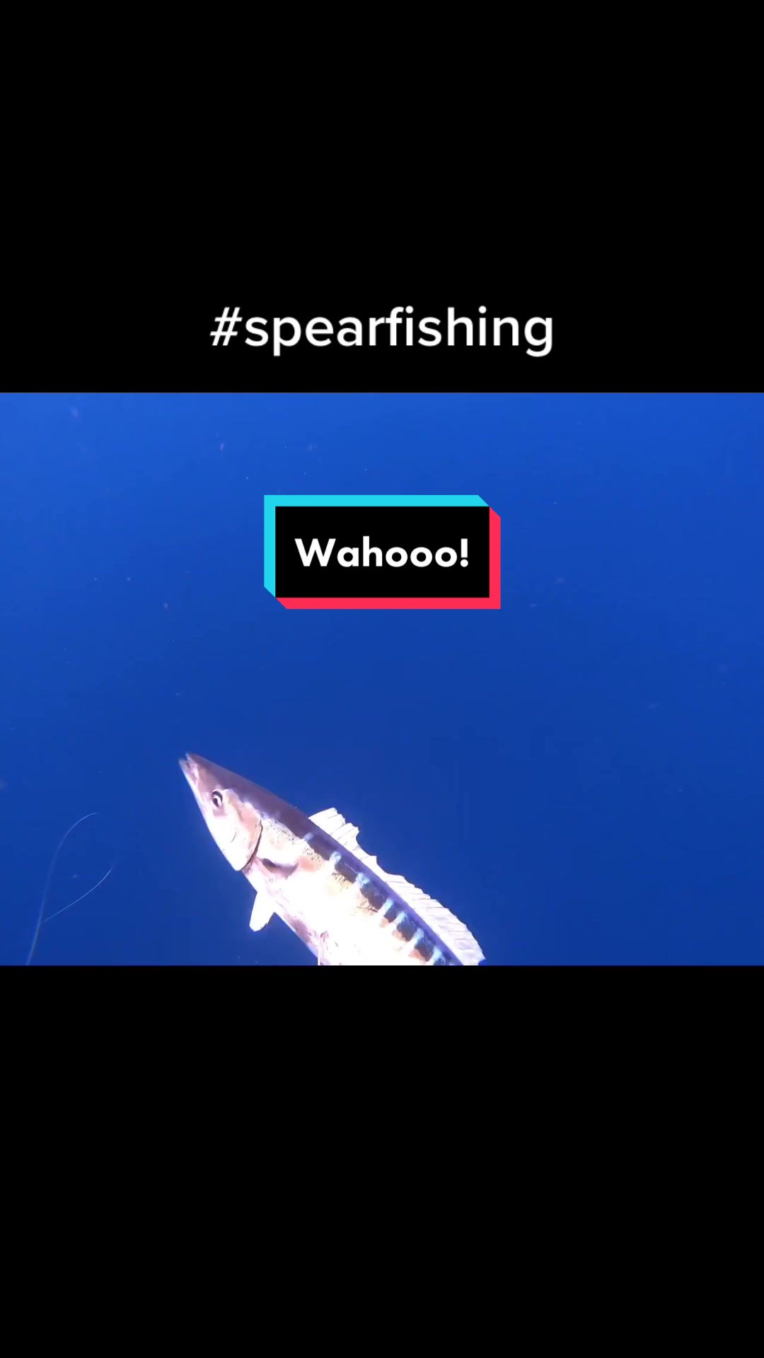 @kairosspearfishing
