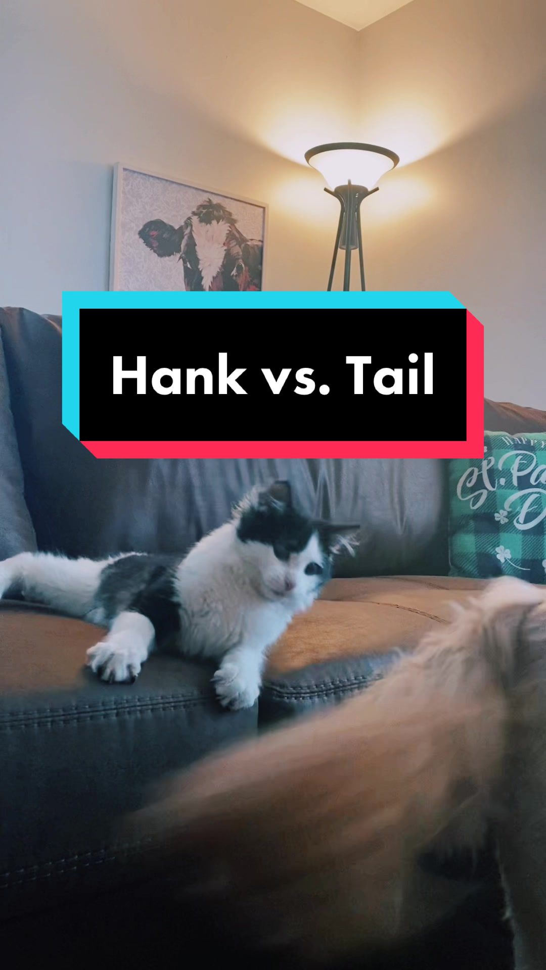 @Tilted_Hank