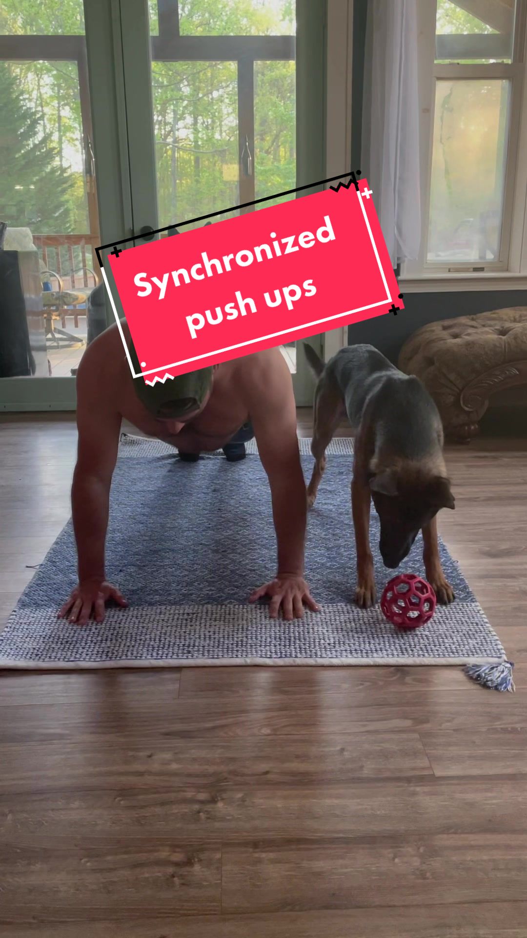 @DivineCanineDogTraining