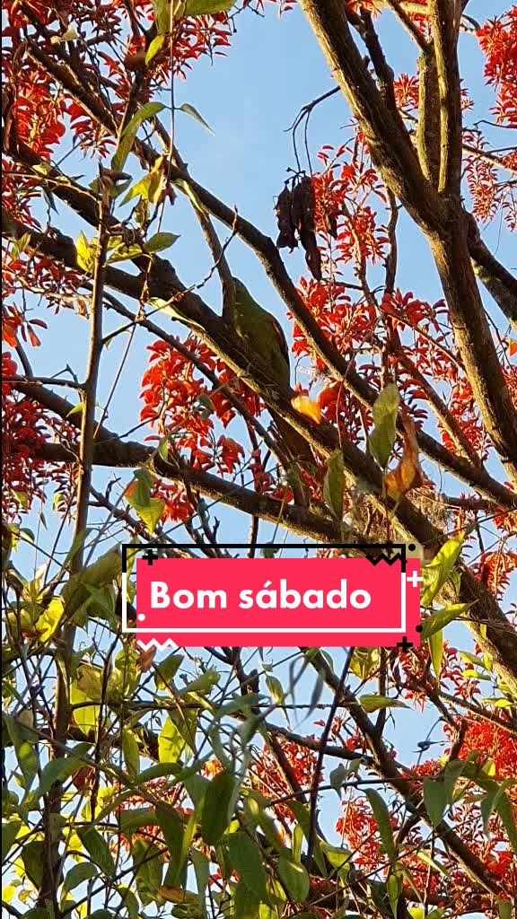 @Diego Augusto
