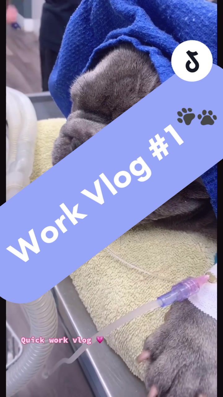 @Queen yetz✨💞🐾