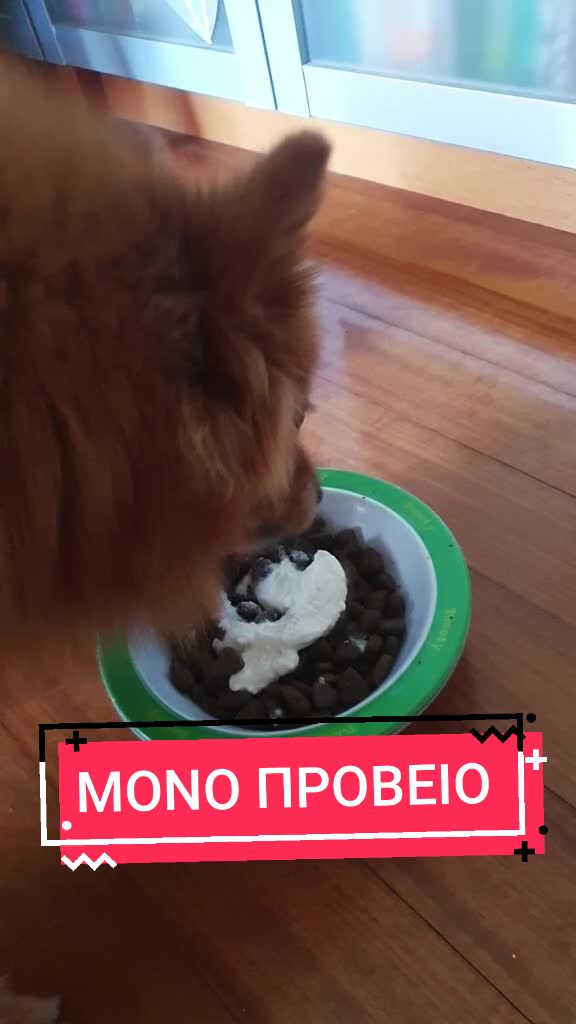 @Vasileia Peroglou