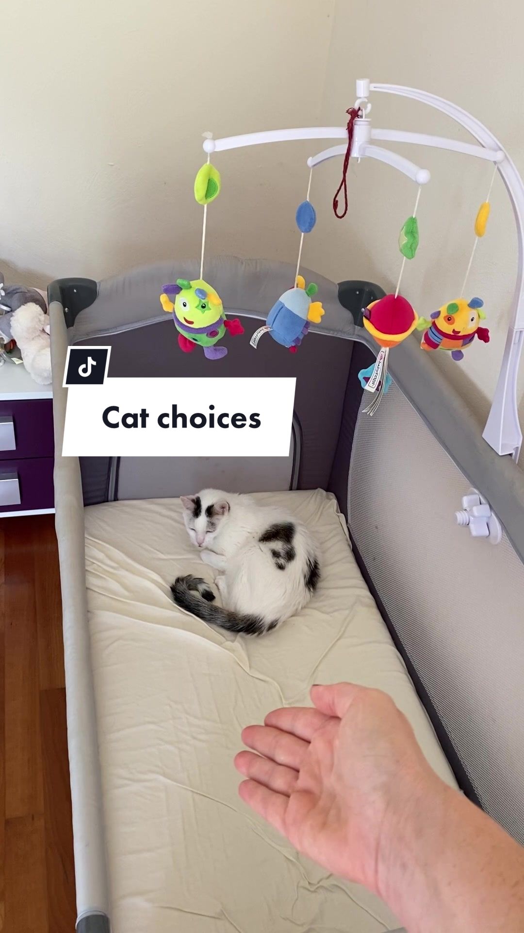 @Marielethecat