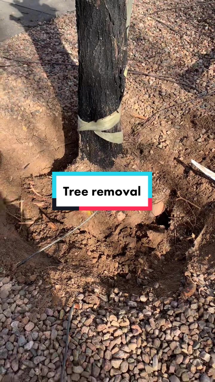 @Pros Landscaping