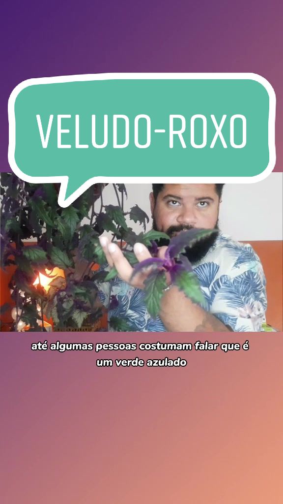 @Est&uacute;dio Merc&ecirc;s