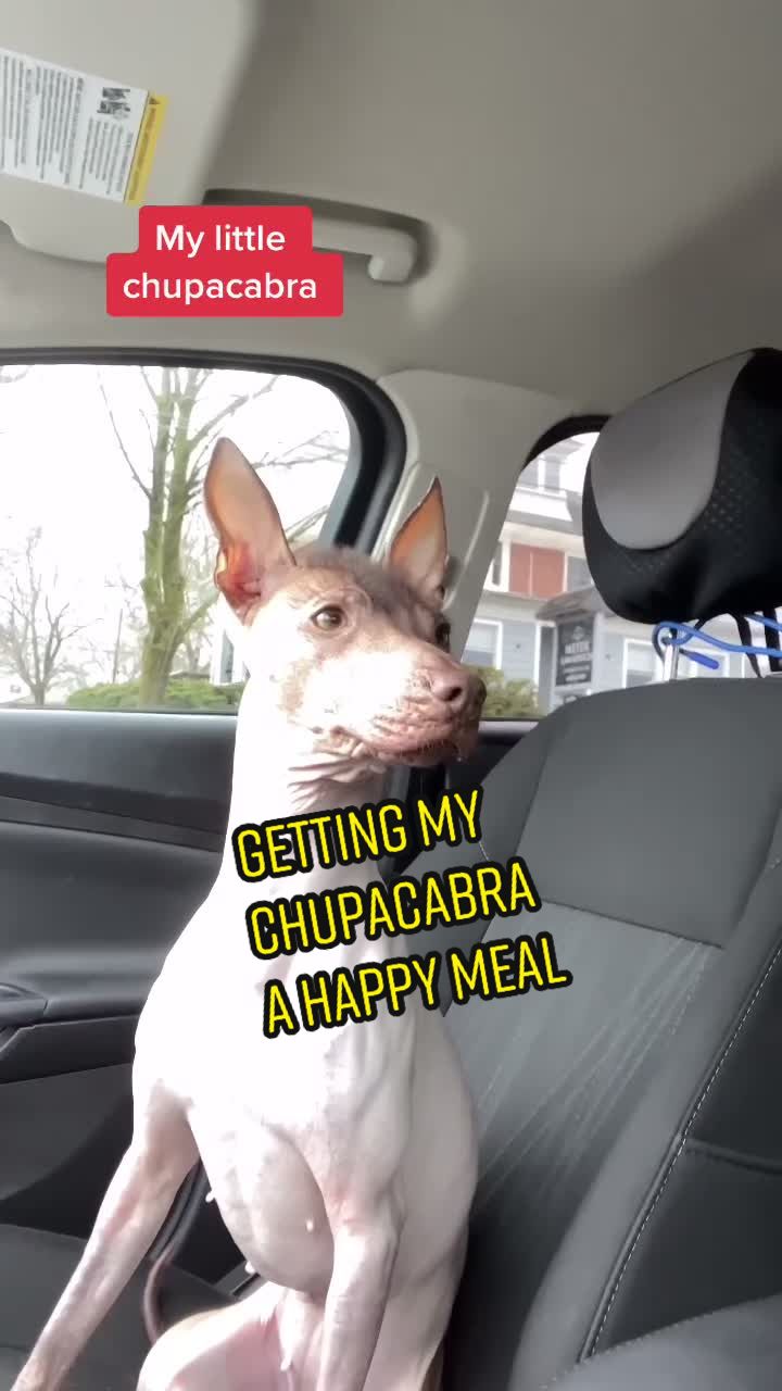 @DAA