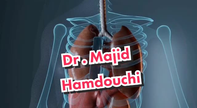 @Majid Hamdouchi