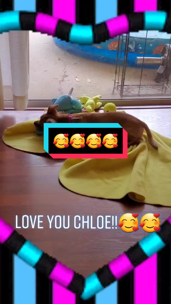 @fam40