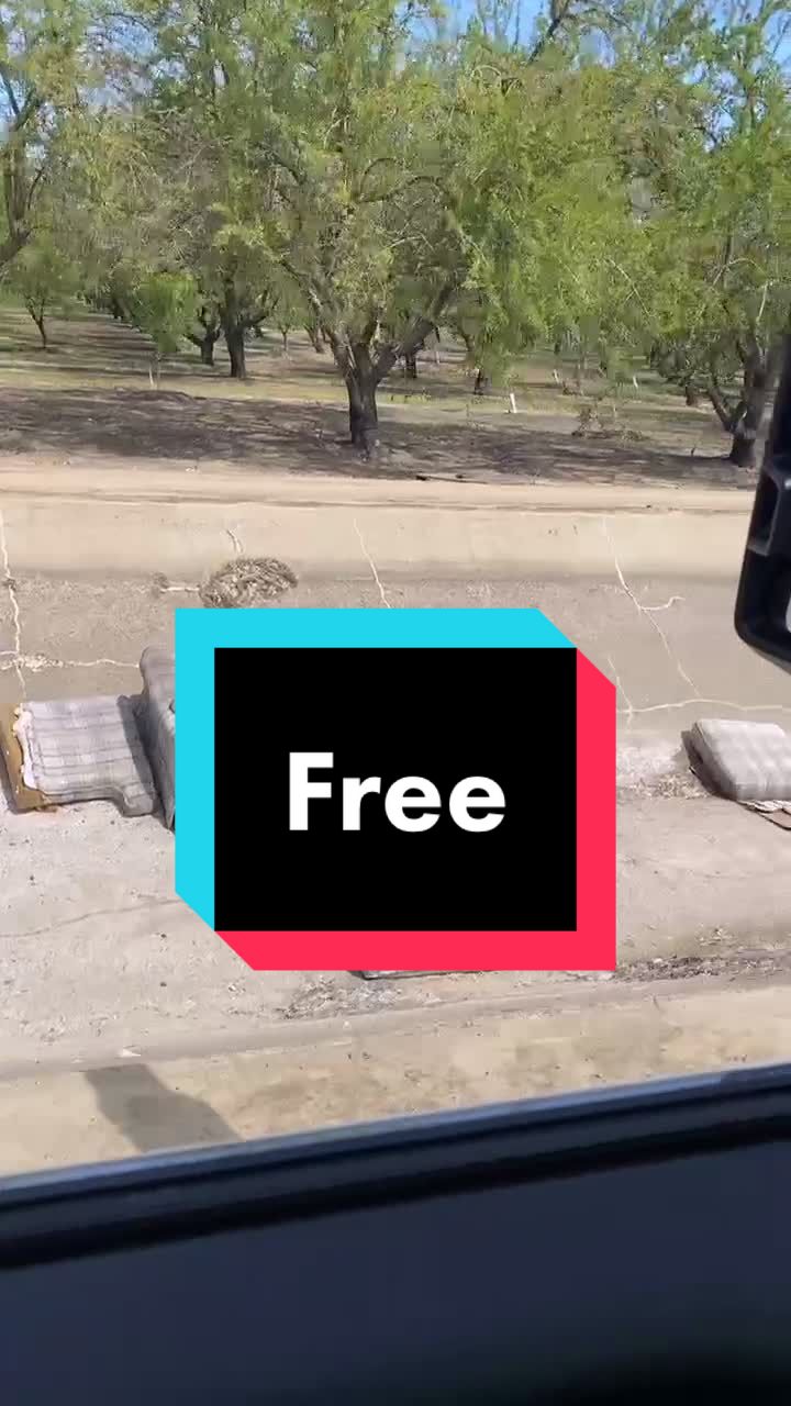 @ry_seed