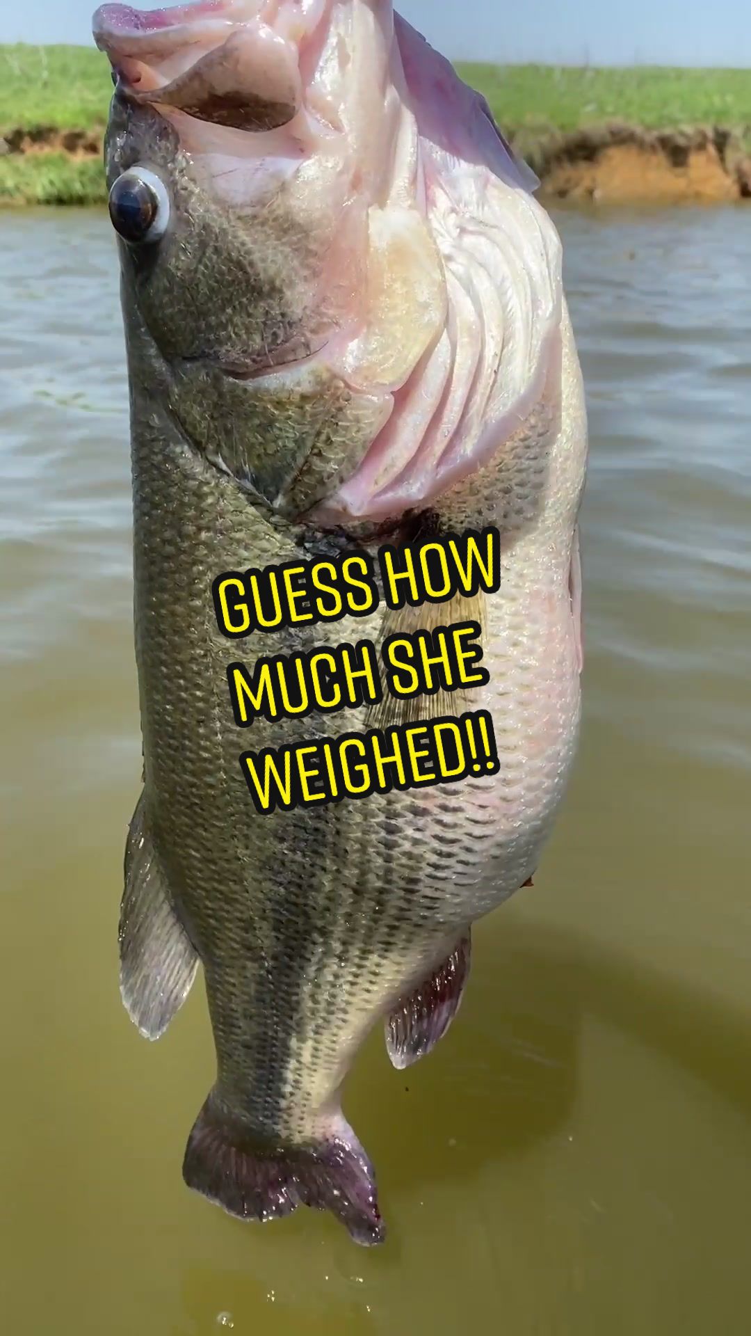@TomBoyBaits