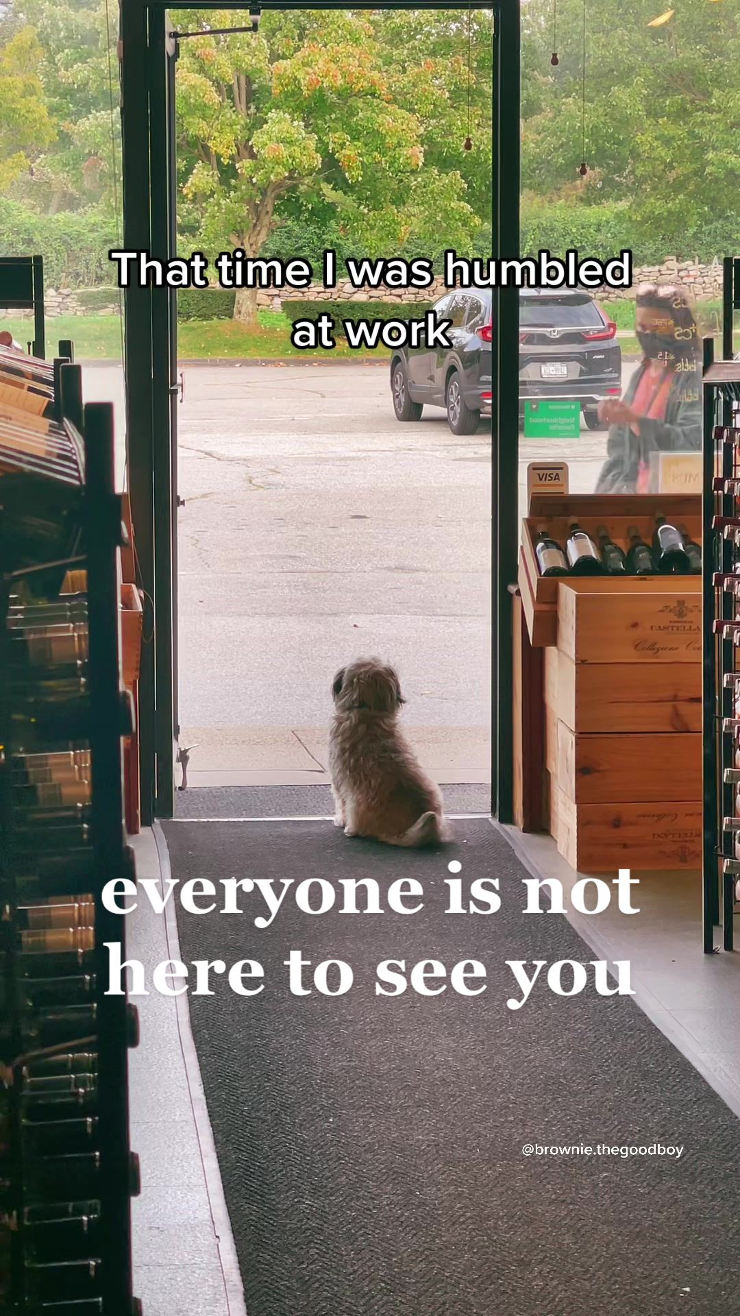 @Brownie #1 Store Dog Greeter