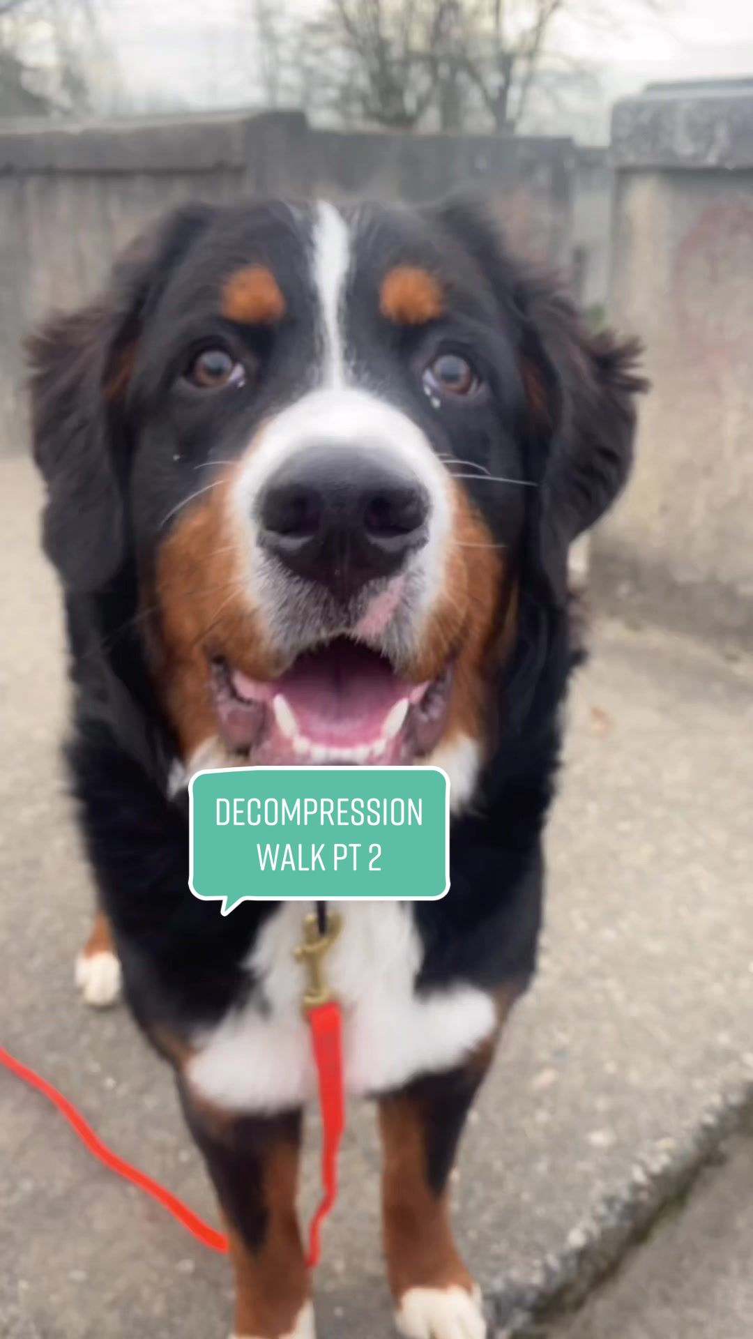 @Ry the Berner