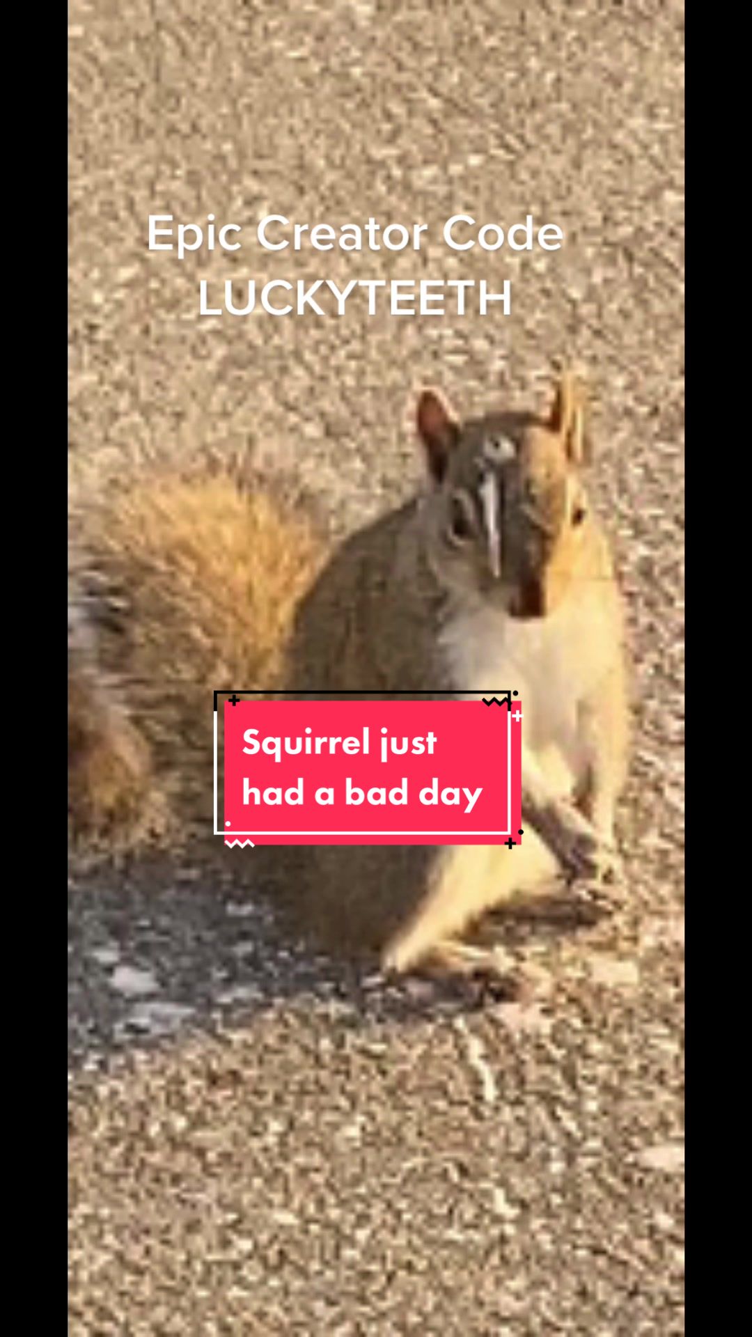 @luckyteeth