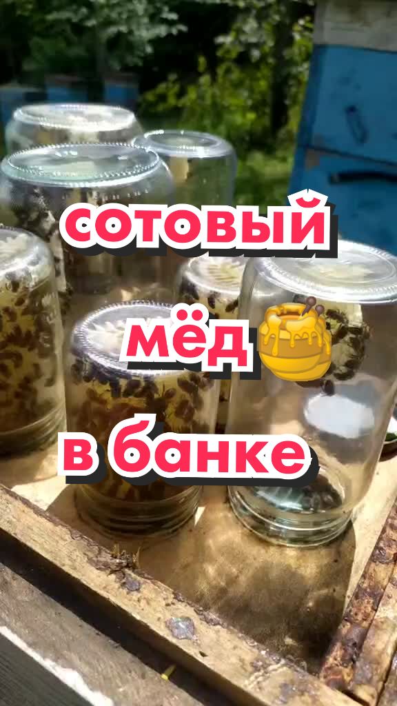 @Михаил Д&euml;ров