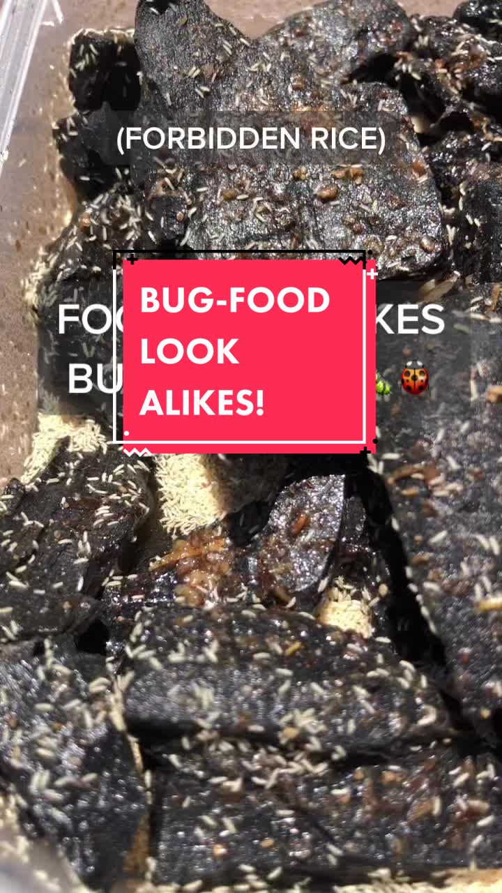 @DoctorBugz