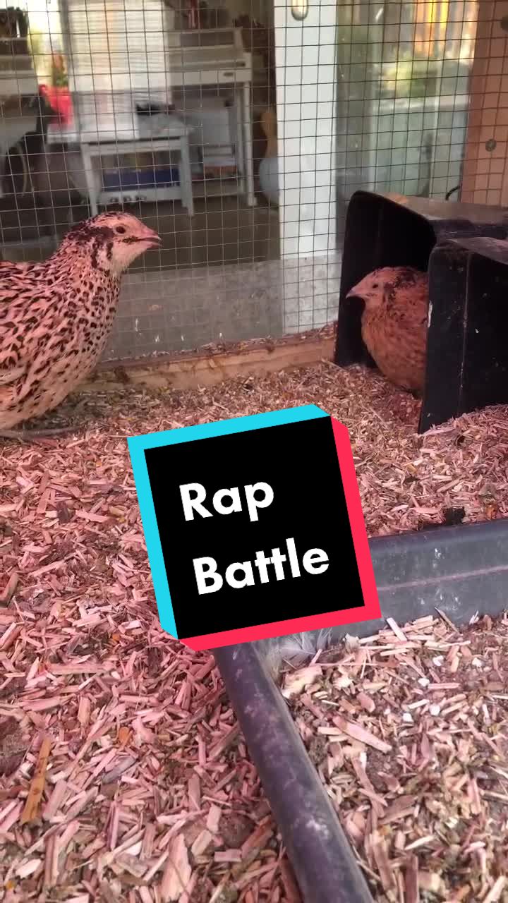@Jan