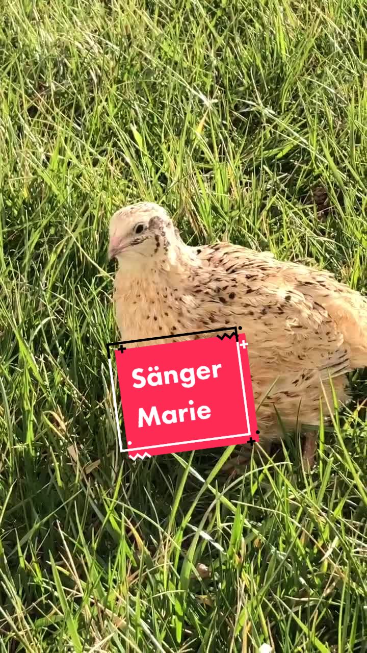 @Jan