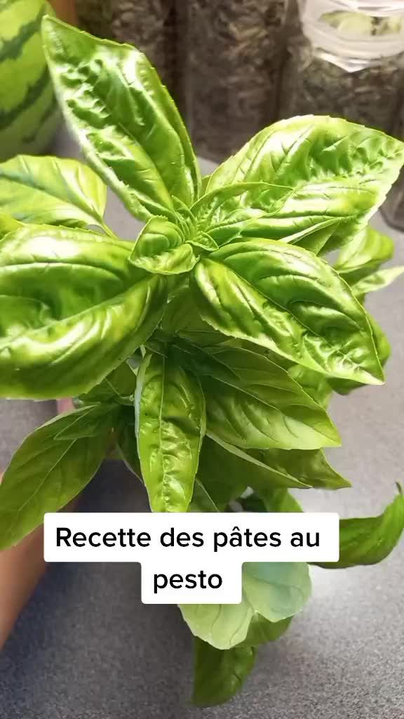 @Miss Pandinou