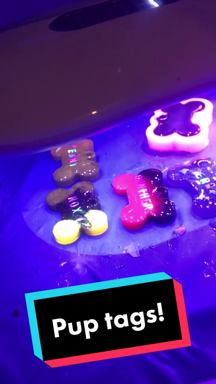 @JJ✨🐶💎🏷