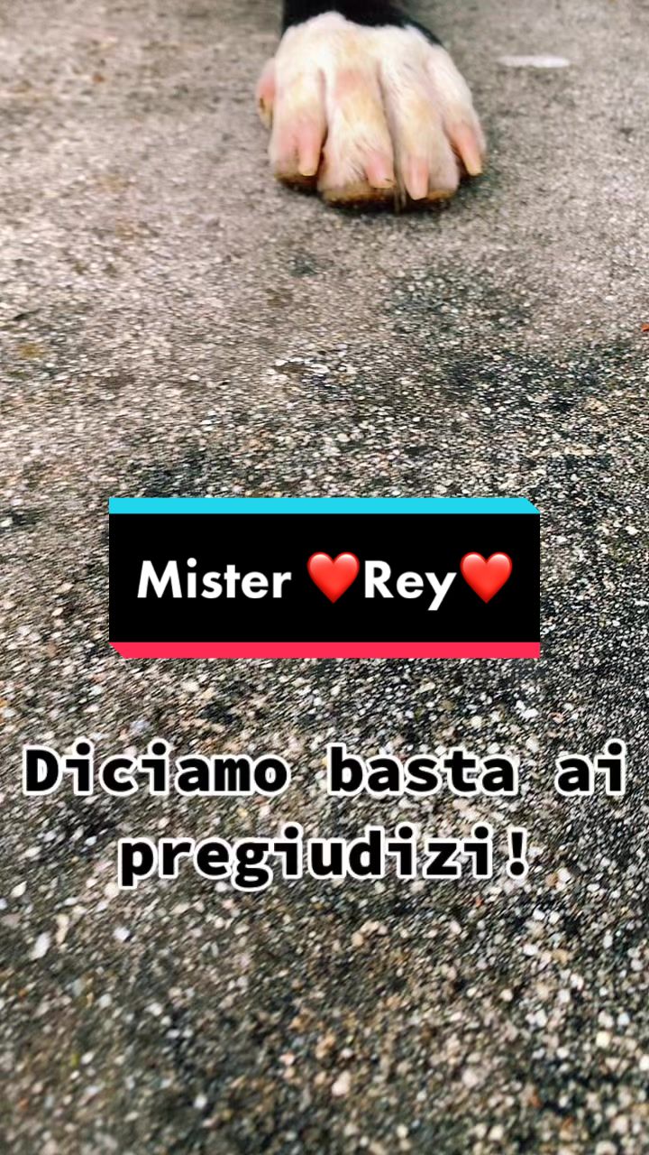@❤️Roberta & Rey ❤️