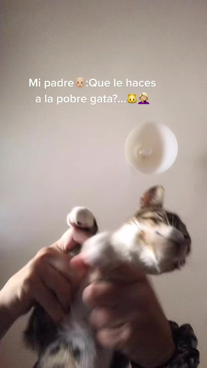 @иαtι ѕαez 🐣