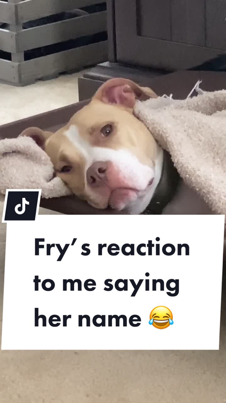@Sky French Fry 🍟