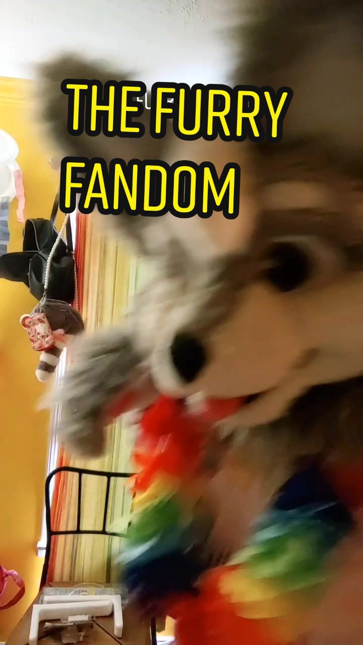 @Lulu the wolf ๐ Megaplex