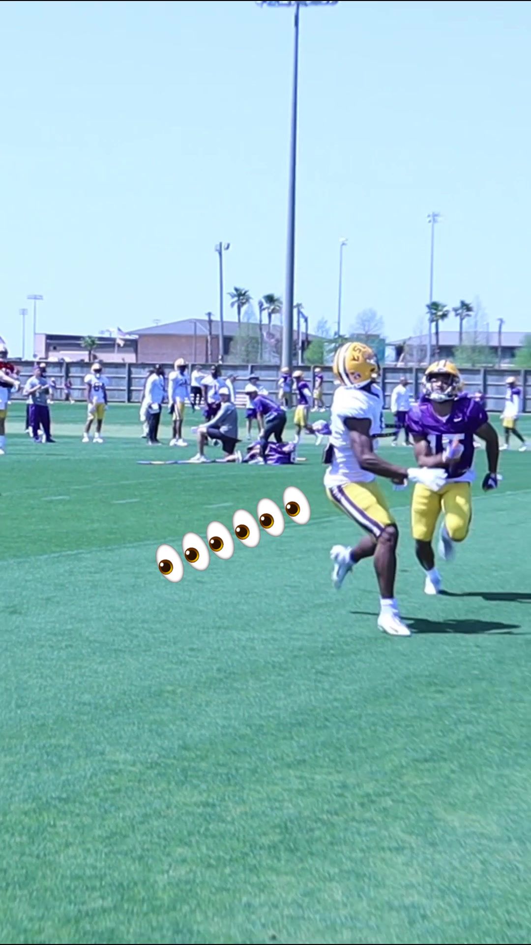 @lsu.sports7