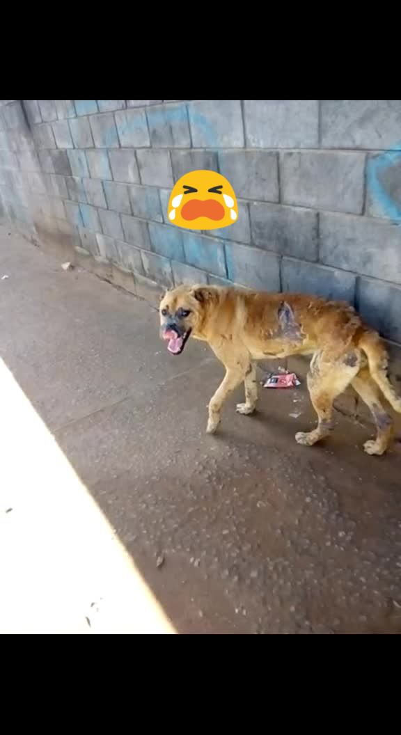 @Meirinha Teles