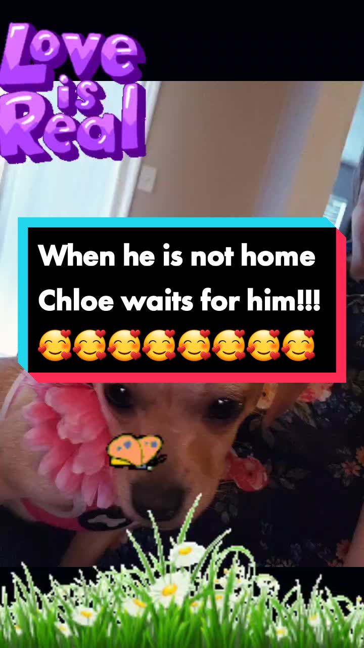 @fam40