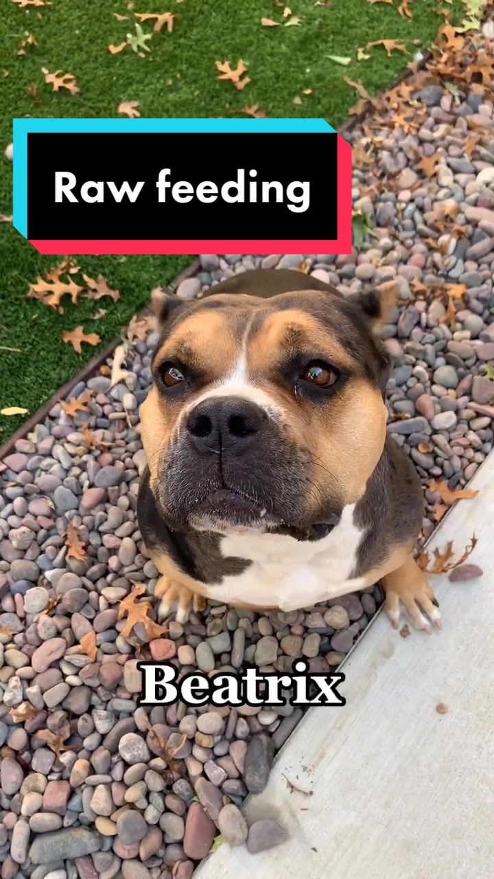 @Ray of Hope Rescue