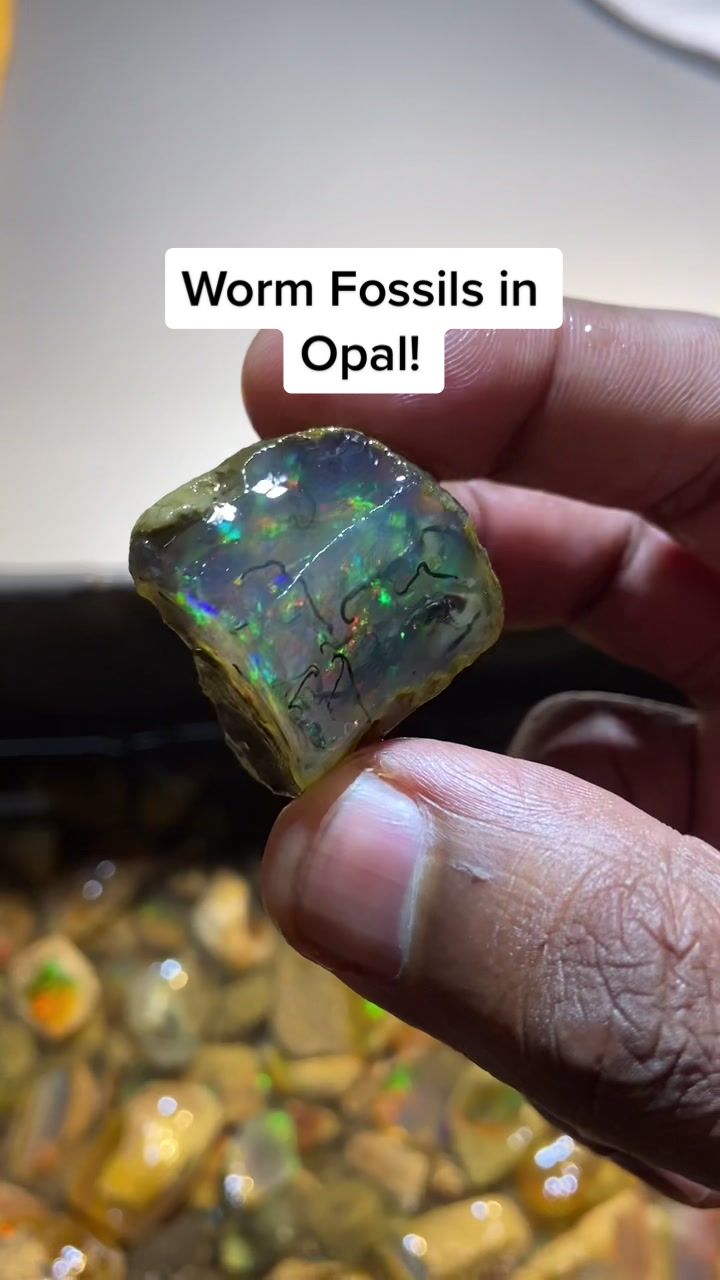 @theopaltrove