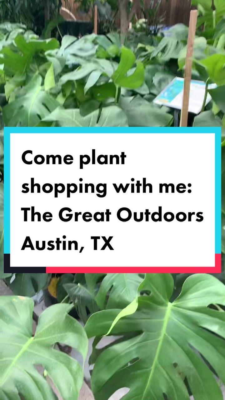 @Island_Plant_Mama