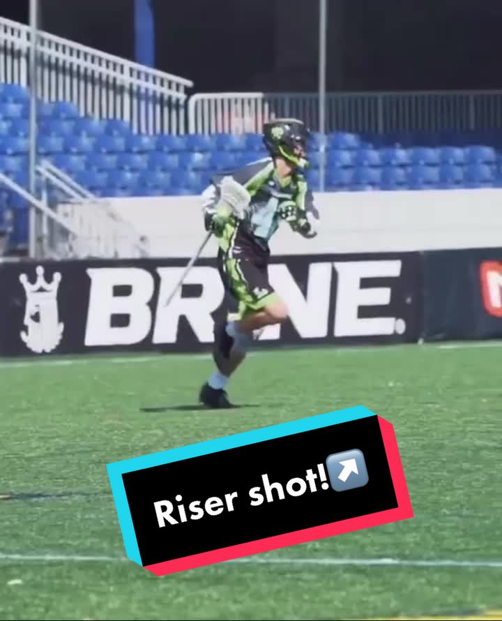 @nylizards