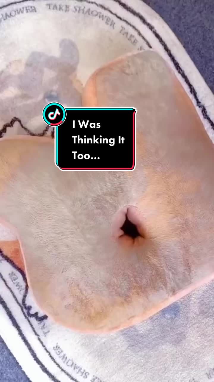 @Ian