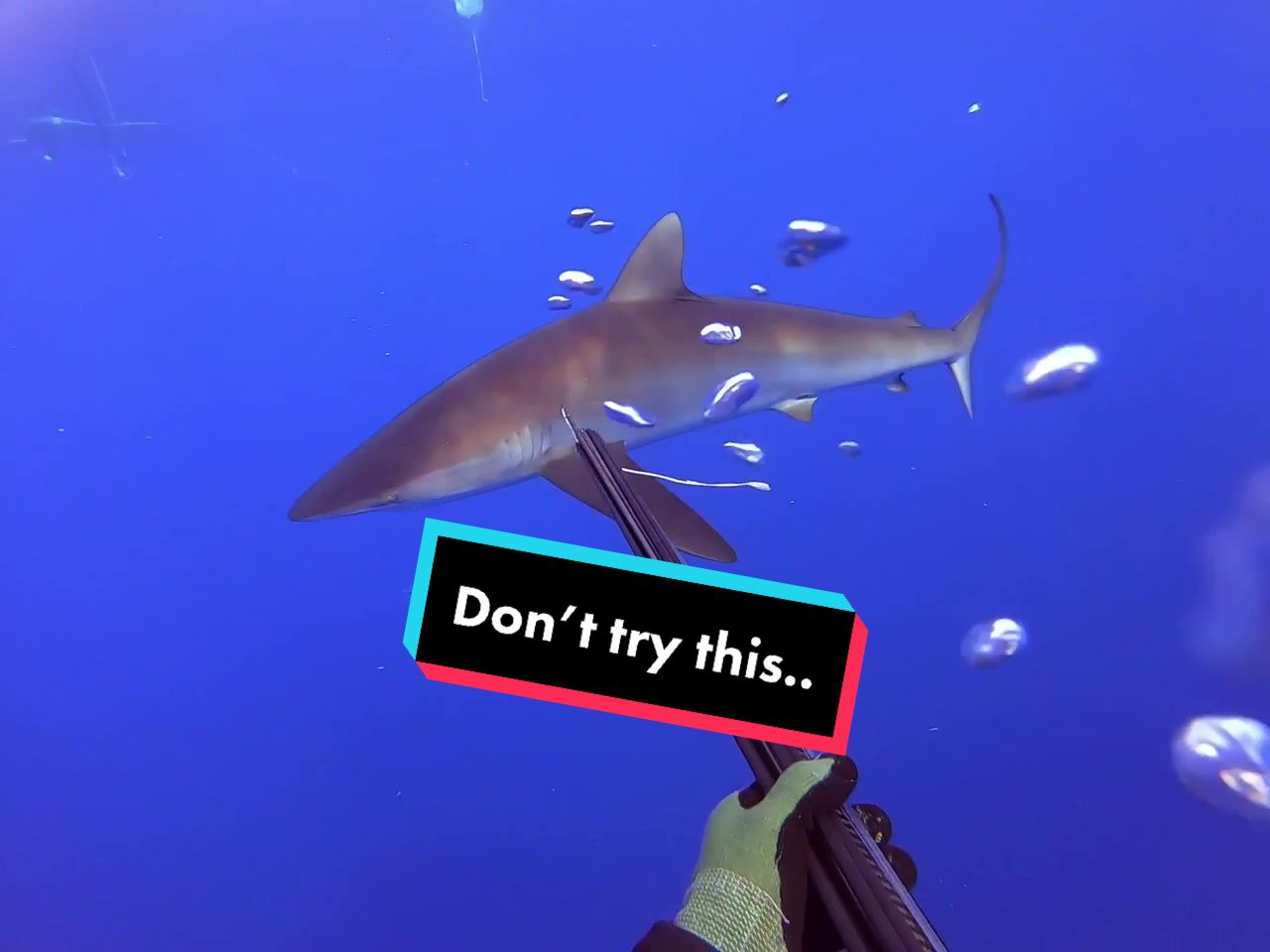 @kairosspearfishing