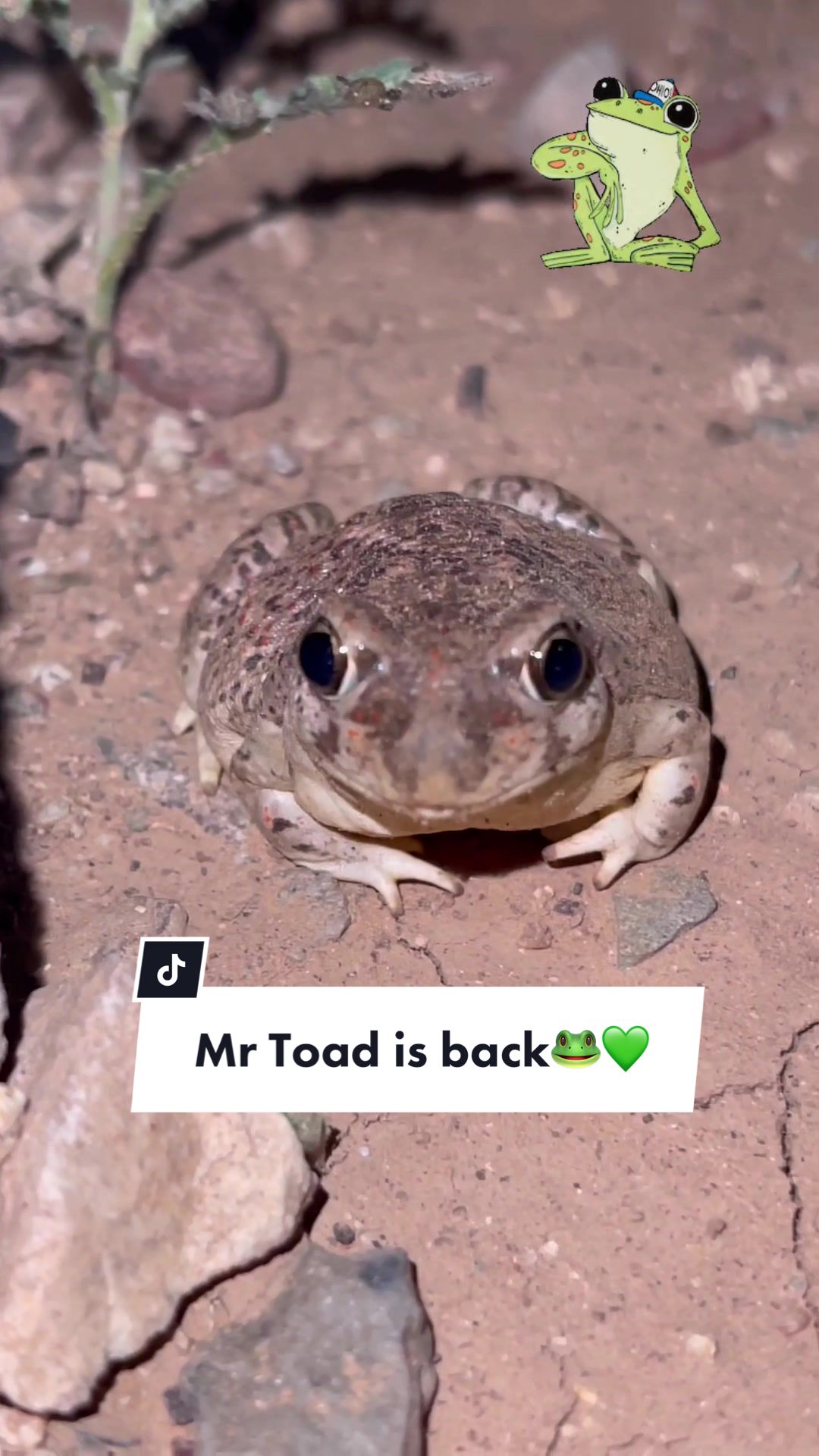 @𝓒𝓱𝓮𝓻𝔂𝓵 🧡